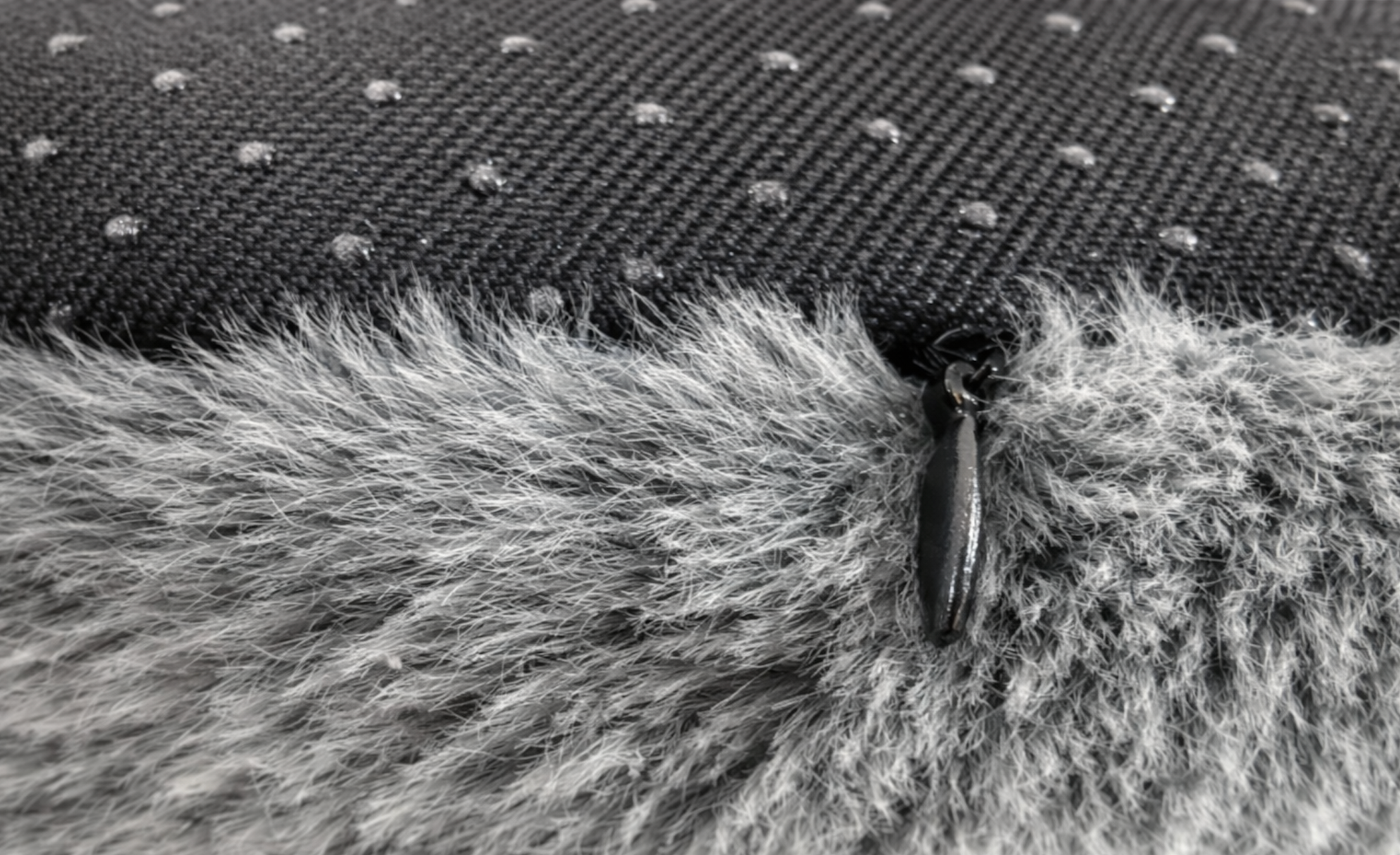 The Lazy Dog Club Pillow Bed