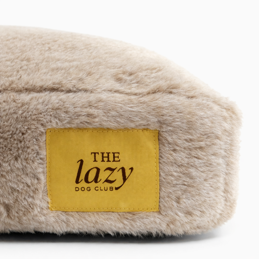 The Lazy Dog Club Pillow Bed
