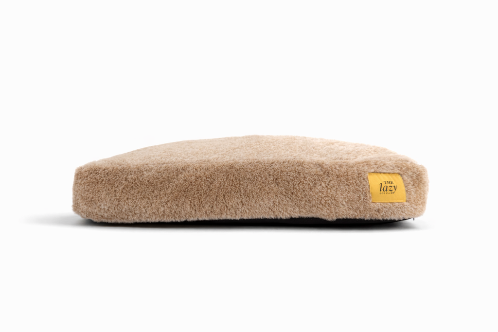 The Lazy Dog Club Pillow Bed